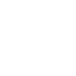 VirtualGen